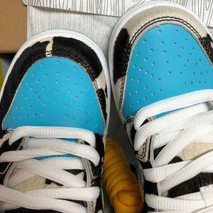 Nike sb dunk